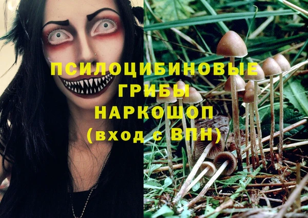 дмт Верея