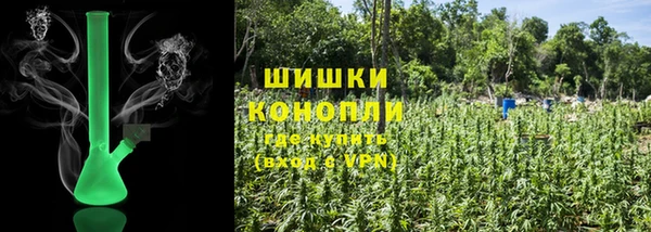 ПСИЛОЦИБИНОВЫЕ ГРИБЫ Верхнеуральск