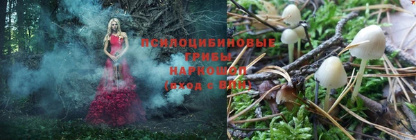 бутират Верхний Тагил